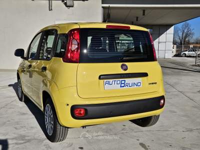 Fiat Pandina Pandina 1.0 firefly hybrid Icon s&s 65cv con BONUS EASY GO' Giallo usata Bruino