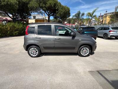 Fiat Panda 1.2 69cv S&S Lounge Grigio usata Cercola