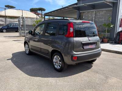 Fiat Panda 1.2 69cv S&S Lounge Grigio usata Cercola