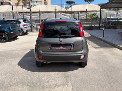 Fiat Panda 1.2 69cv S&S Lounge Grigio usata Cercola