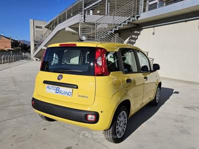 Fiat Pandina Pandina 1.0 firefly hybrid Pop s&s 65cv con BONUS EASY GO' Giallo usata Bruino