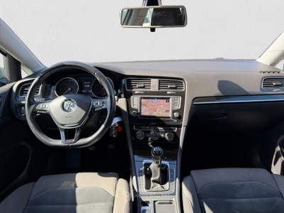 Volkswagen Golf 1.6 TDI Executive BMT Grigio usata Lerici
