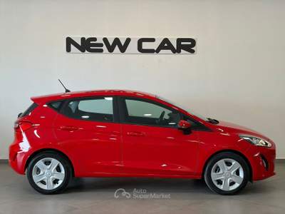 Ford Fiesta 1.1 70CV Plus Rosso usata Caresanablot