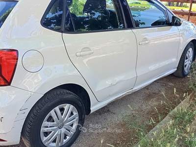 Volkswagen Polo Polo 2016 usata Terni