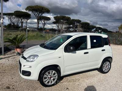 Fiat Panda Panda 0.9 TwinAir Turbo Natural Power Pop Van 2 po Bianco usata Roma