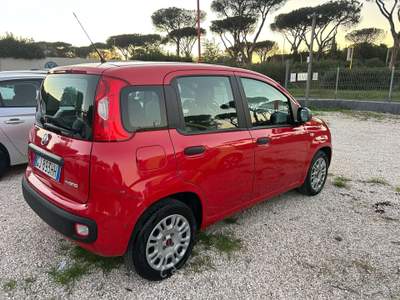 Fiat Panda Panda 1.0 FireFly S&S Hybrid Rosso usata Roma