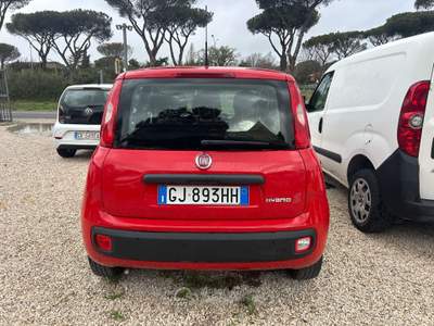 Fiat Panda Panda 1.0 FireFly S&S Hybrid Rosso usata Roma