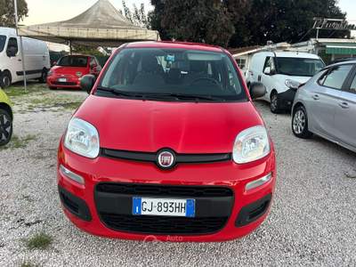 Fiat Panda Panda 1.0 FireFly S&S Hybrid Rosso usata Roma