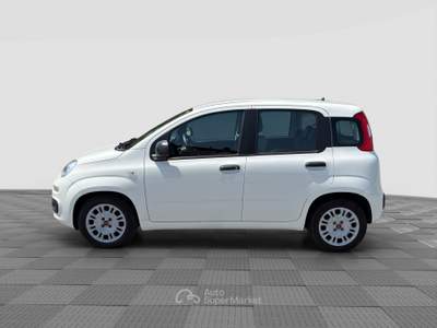 Fiat Panda Panda 1.0 FireFly Hybrid Bianco usata Milano