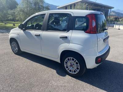Fiat Panda Fiat Panda 1.0 firefly hybrid - SI come NUOVA !!! Bianco usata Riva del Garda
