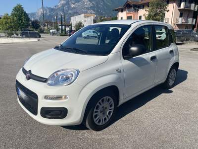 Fiat Panda Fiat Panda 1.0 firefly hybrid - SI come NUOVA !!! Bianco usata Riva del Garda