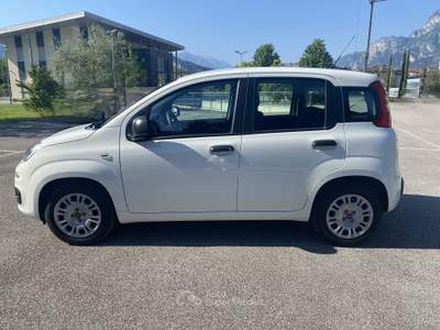 Fiat Panda Fiat Panda 1.0 firefly hybrid - SI come NUOVA !!! Bianco usata Riva del Garda
