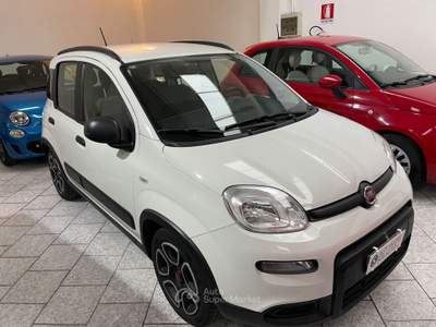 Fiat Panda FireFly S&S Hybrid City Life 5Posti Bianco usata Gozzano