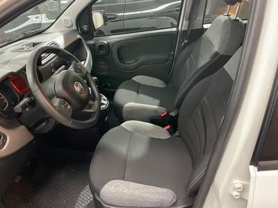 Fiat Panda FireFly S&S Hybrid City Life 5Posti Bianco usata Gozzano