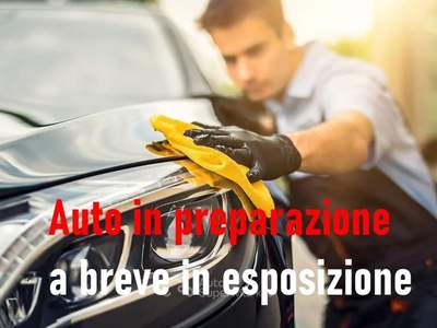 Great Wall Steed Ecodual work 4wd Bianco usata Mazzano
