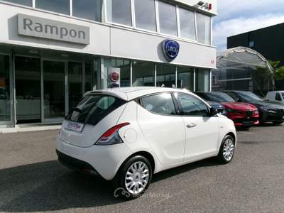 Lancia Ypsilon Ypsilon 1.2 8v Gold s&s 69cv Bianco usata SAN DONA' DI PIAVE
