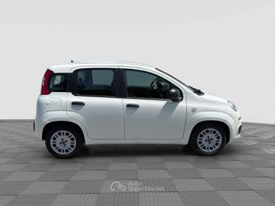 Fiat Panda Panda 1.0 FireFly Hybrid Bianco usata Verona