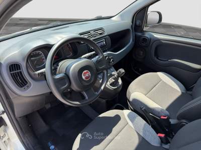 Fiat Panda Panda 1.0 FireFly Hybrid Bianco usata Verona