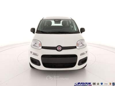 Fiat Pandina Panda 1.0 FireFly 65 CV Hybrid Icon Bianco usata Piove di Sacco