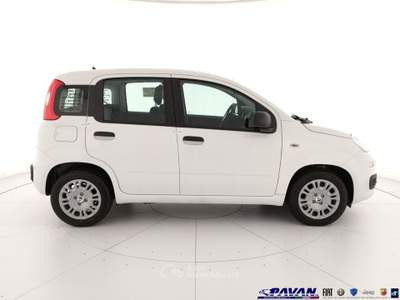 Fiat Pandina Panda 1.0 FireFly 65 CV Hybrid Icon Bianco usata Piove di Sacco
