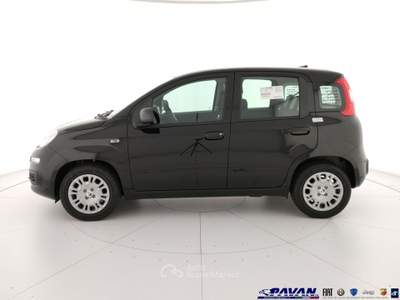 Fiat Pandina Panda 1.0 FireFly 65 CV Hybrid Icon Nero usata Piove di Sacco