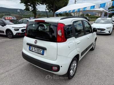 Fiat Panda " UNA CHICCA " GPL Lounge Bianco usata Assisi