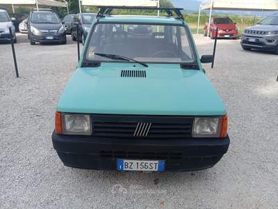Fiat Panda i.e. cat Young Oro usata Ponzano Romano