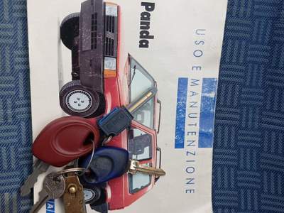 Fiat Panda i.e. cat Young Oro usata Ponzano Romano