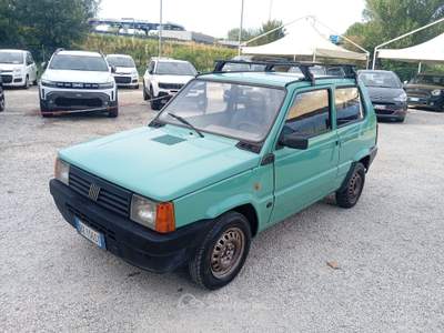 Fiat Panda i.e. cat Young Oro usata Ponzano Romano