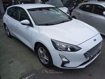 Ford Focus 5P 1.5 EcoBlue 95CV Business Bianco usata Giugliano in Campania