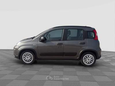 Fiat Panda Panda 1.0 FireFly Hybrid City Life Grigio usata Parma