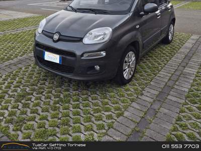 Fiat Panda Fiat Panda 1.2 EasyPower Pandazzurri #10973 Grigio usata Settimo Torinese
