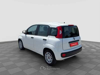 Fiat Panda Panda 1.0 FireFly Hybrid Bianco usata Parma
