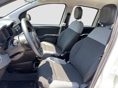 Fiat Panda Panda 1.0 FireFly Hybrid Bianco usata Parma