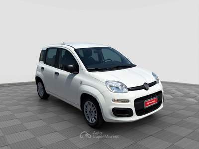 Fiat Panda Panda 1.0 FireFly Hybrid Bianco usata Parma