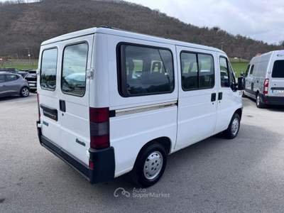 Fiat Ducato 9 posti 14 1.9 td diesel PM IVA ESPOSTA LEGGE 104 Bianco usata Sant'Angelo in vado