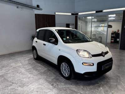 Fiat Panda 1.0 firefly hybrid s&s 70cv Bianco usata Firenze