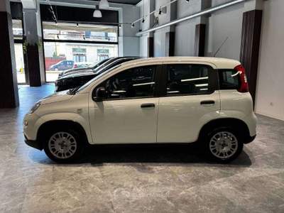 Fiat Panda 1.0 firefly hybrid s&s 70cv Bianco usata Firenze