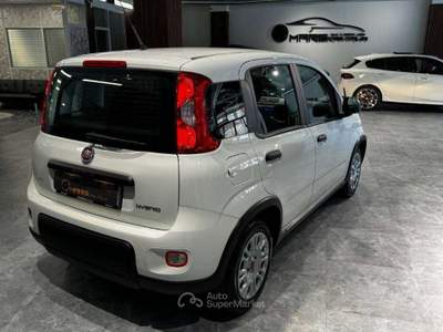 Fiat Panda 1.0 firefly hybrid s&s 70cv Bianco usata Firenze