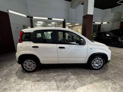 Fiat Panda 1.0 firefly hybrid s&s 70cv Bianco usata Firenze