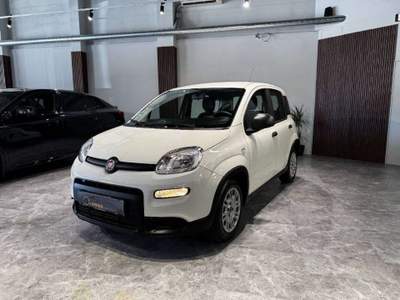 Fiat Panda 1.0 firefly hybrid s&s 70cv Bianco usata Firenze