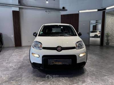Fiat Panda 1.0 firefly hybrid s&s 70cv Bianco usata Firenze