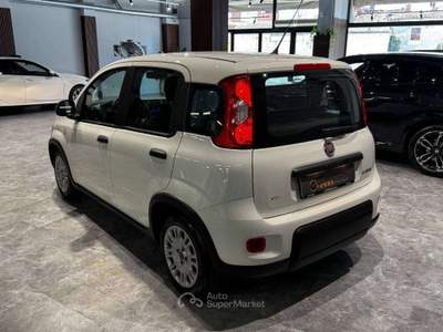 Fiat Panda 1.0 firefly hybrid s&s 70cv Bianco usata Firenze
