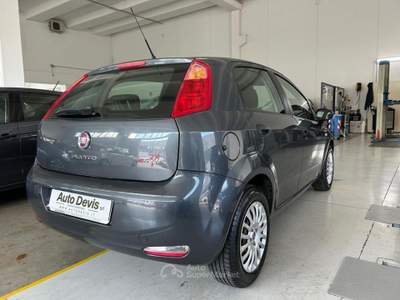 Fiat Punto 1.4 8V 5 porte Easypower Street Grigio usata Piazzola sul Brenta