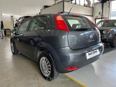 Fiat Punto 1.4 8V 5 porte Easypower Street Grigio usata Piazzola sul Brenta