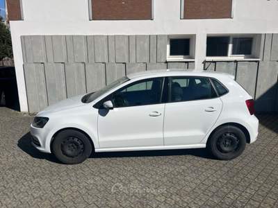 Volkswagen Polo bianca Bianco usata Morbegno