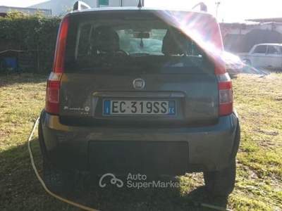 Fiat Panda 1.2 4x4 Climbing Grigio usata Forlimpopoli