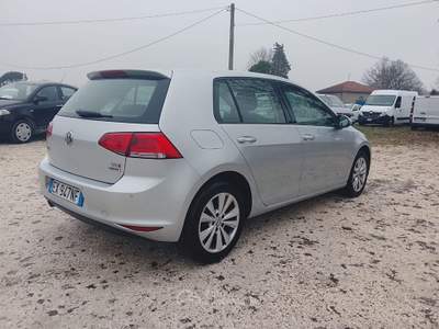 Volkswagen Golf Business 1.6 TDI 5p. Highline BlueMotion Technolog Grigio usata Forlimpopoli