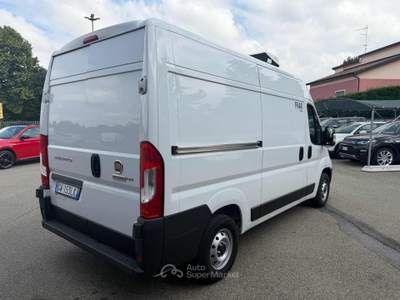 Fiat Ducato 35 2.2 Mjt Gruppo frigoferori Cella Isoterm Bianco usata Sabbioneta