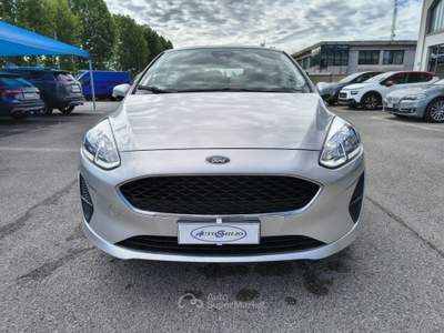 Ford Fiesta 1.1 75 CV GPL 5 porte Business Grigio usata Alonte